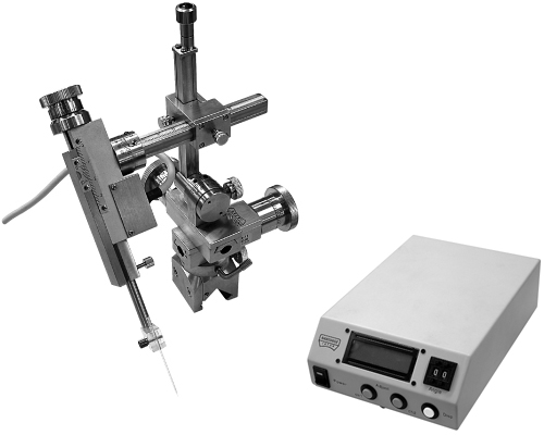 DSM-11