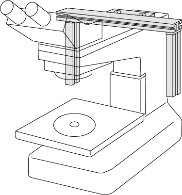 NL-2