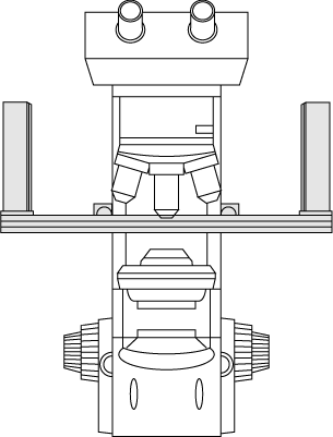 NL-8