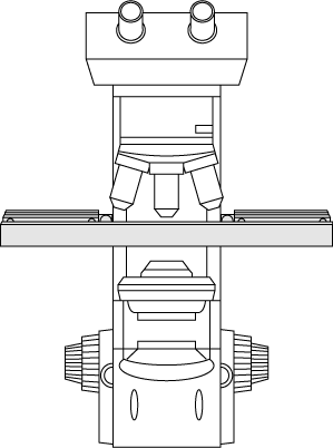 NL-9