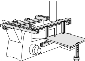 Type D2
