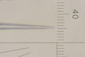 MF2 総合倍率 525x