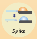 スパイク